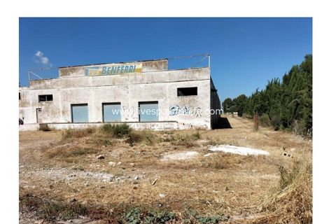 Helårsgrund i Benferri, Alicante, Benferri - € 210.000 | Ref: BEN PMx - foto 3