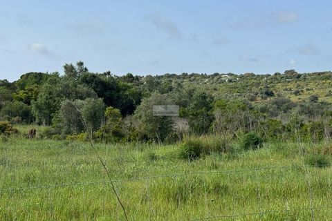 Helårsgrund i Lagos, Faro, Lagos - € 50.000 | Ref: T0555 - foto 2