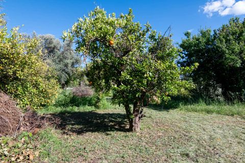 Villa a Lecrin, Granada, Lecrin - € 350.000 | Ref: 1018 - foto 28