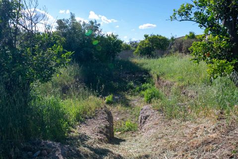 Villa a Lecrin, Granada, Lecrin - € 350.000 | Ref: 1018 - foto 29