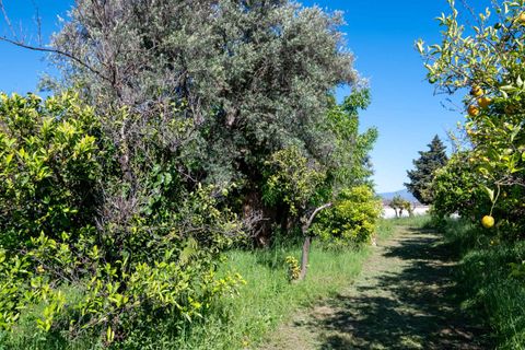 Villa a Lecrin, Granada, Lecrin - € 350.000 | Ref: 1018 - foto 32