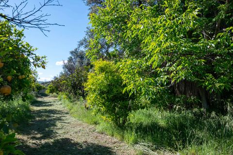 Villa a Lecrin, Granada, Lecrin - € 350.000 | Ref: 1018 - foto 34