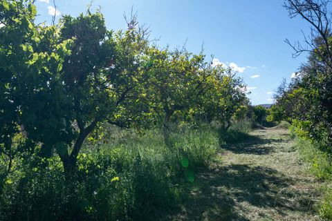 Villa a Lecrin, Granada, Lecrin - € 350.000 | Ref: 1018 - foto 35