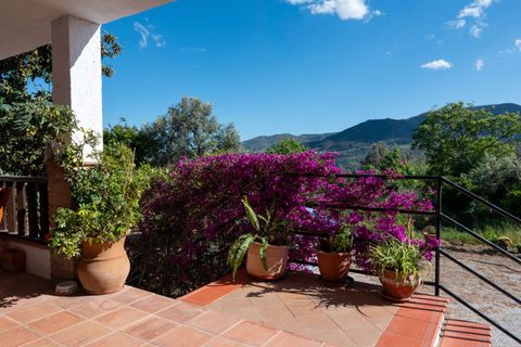 Villa a Lecrin, Granada, Lecrin - € 350.000 | Ref: 1018 - foto 38