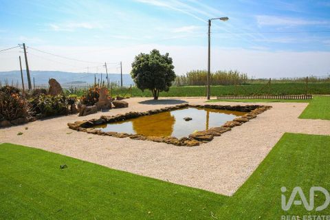 Byhus i Mafra, Lisbon, Mafra - € 1.495.000 | Ref: 867289 - foto 16