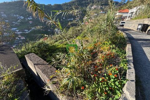 Terra a Ribeira Brava, Madeira, Ribeira Brava - € 80.000 | Ref: CT-1894/2026 - foto 4