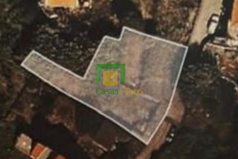Terra a Ribeira Brava, Madeira, Ribeira Brava - € 80.000 | Ref: CT-1894/2026 - foto 7