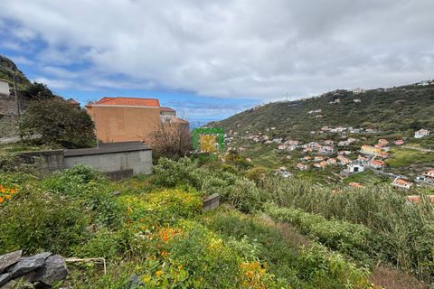 Terra a Ribeira Brava, Madeira, Ribeira Brava - € 80.000 | Ref: CT-1894/2026 - foto 2