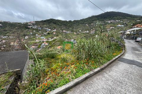 Terra a Ribeira Brava, Madeira, Ribeira Brava - € 80.000 | Ref: CT-1894/2026 - foto 3