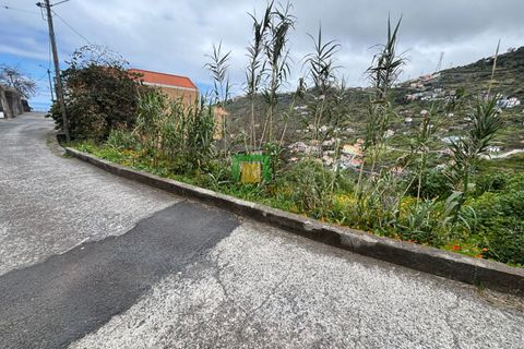 Terra a Ribeira Brava, Madeira, Ribeira Brava - € 80.000 | Ref: CT-1894/2026 - foto 6