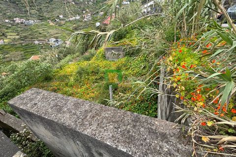 Terra a Ribeira Brava, Madeira, Ribeira Brava - € 80.000 | Ref: CT-1894/2026 - foto 8