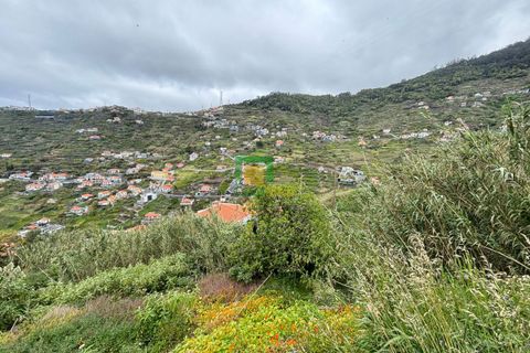 Terra a Ribeira Brava, Madeira, Ribeira Brava - € 80.000 | Ref: CT-1894/2026 - foto 10