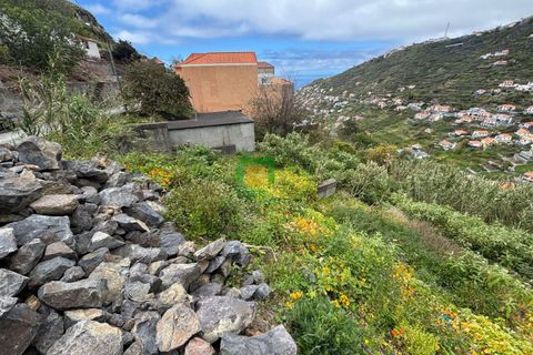 Terra a Ribeira Brava, Madeira, Ribeira Brava - € 80.000 | Ref: CT-1894/2026 - foto 11