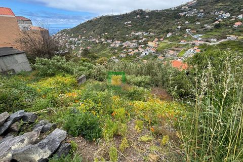 Terra a Ribeira Brava, Madeira, Ribeira Brava - € 80.000 | Ref: CT-1894/2026 - foto 12