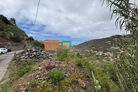 Terra a Ribeira Brava, Madeira, Ribeira Brava - € 80.000 | Ref: CT-1894/2026 - foto 13