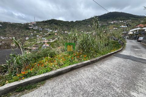 Terra a Ribeira Brava, Madeira, Ribeira Brava - € 80.000 | Ref: CT-1894/2026 - foto 14