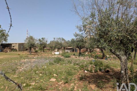 Tomt i Estremoz, Evora, Estremoz - € 46 000 | Ref: 873235 - foto 2