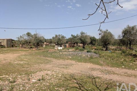 Tomt i Estremoz, Evora, Estremoz - € 46 000 | Ref: 873235 - foto 5