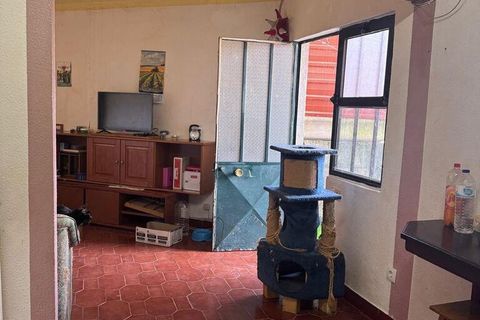 Rækkehus i Alcanena, Santarem, Alcanena - € 120.000 | Ref: 873613 - foto 14