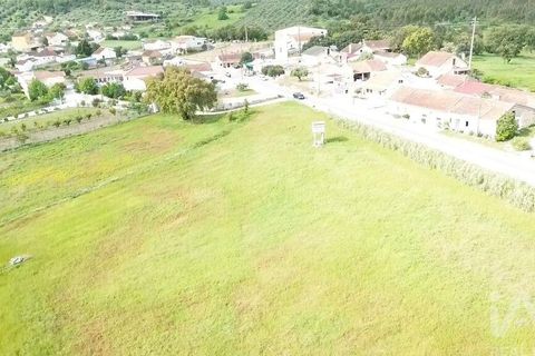 Terra a Santarem, Santarem, Santarem - € 29.000 | Ref: 870942 - foto 4