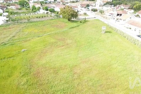 Terra a Santarem, Santarem, Santarem - € 29.000 | Ref: 870942 - foto 8