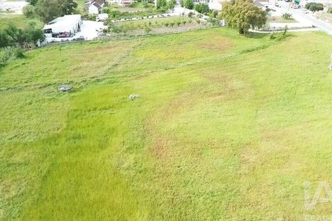 Terra a Santarem, Santarem, Santarem - € 29.000 | Ref: 870942 - foto 9