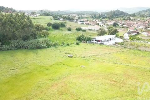 Terra a Santarem, Santarem, Santarem - € 29.000 | Ref: 870942 - foto 10