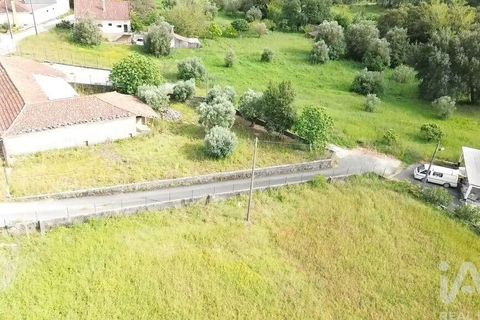 Terra a Santarem, Santarem, Santarem - € 29.000 | Ref: 870942 - foto 15