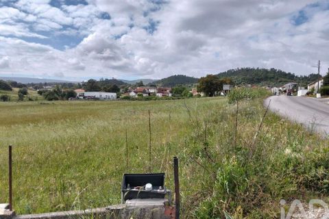 Terra a Santarem, Santarem, Santarem - € 29.000 | Ref: 870942 - foto 18