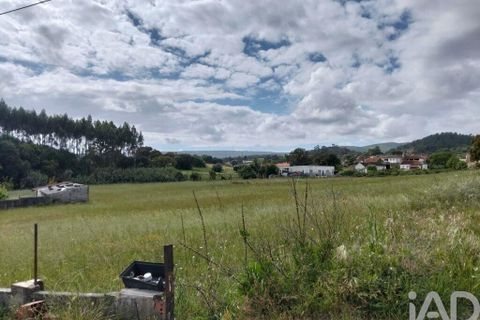 Terra a Santarem, Santarem, Santarem - € 29.000 | Ref: 870942 - foto 19