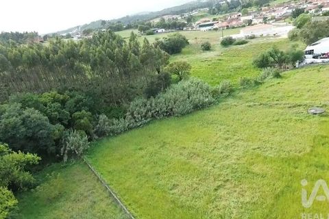 Terra a Santarem, Santarem, Santarem - € 29.000 | Ref: 870942 - foto 21