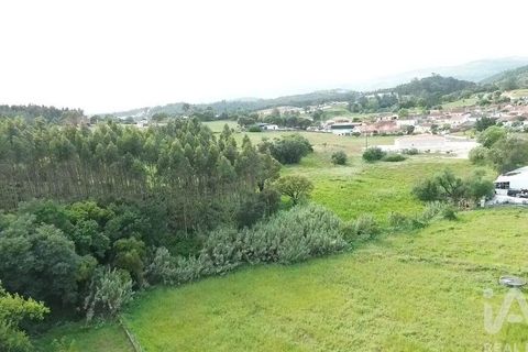 Terra a Santarem, Santarem, Santarem - € 29.000 | Ref: 870942 - foto 22