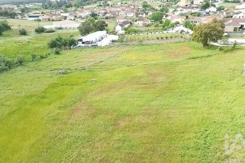 Terra a Santarem, Santarem, Santarem - € 29.000 | Ref: 870942 - foto 23