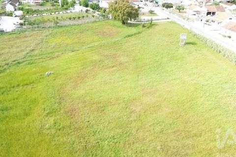 Terra a Santarem, Santarem, Santarem - € 29.000 | Ref: 870942 - foto 24