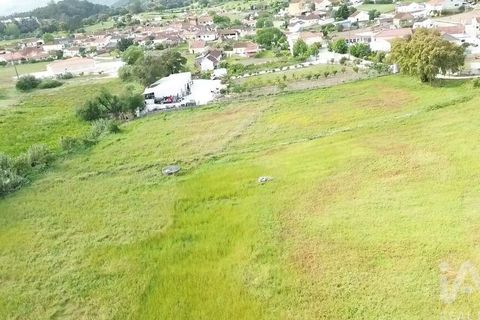 Terra a Santarem, Santarem, Santarem - € 29.000 | Ref: 870942 - foto 25