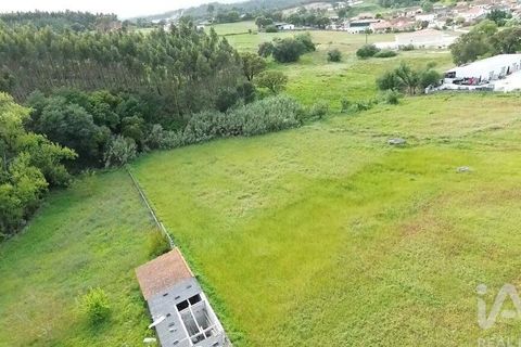 Terra a Santarem, Santarem, Santarem - € 29.000 | Ref: 870942 - foto 26