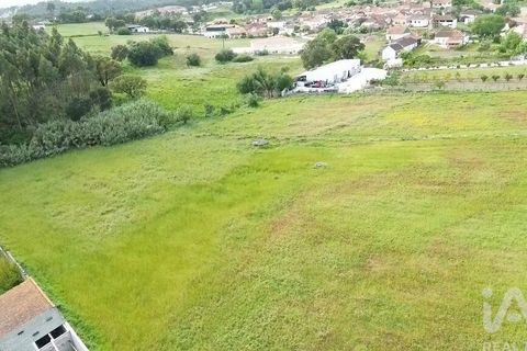 Terra a Santarem, Santarem, Santarem - € 29.000 | Ref: 870942 - foto 28