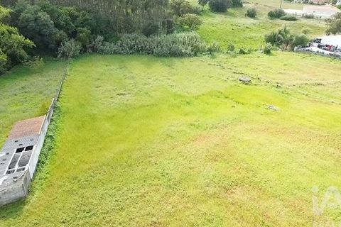 Terra a Santarem, Santarem, Santarem - € 29.000 | Ref: 870942 - foto 29