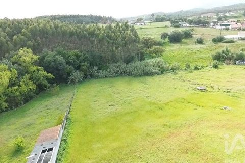 Terra a Santarem, Santarem, Santarem - € 29.000 | Ref: 870942 - foto 30