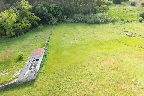 Terra a Santarem, Santarem, Santarem - € 29.000 | Ref: 870942 - foto 31
