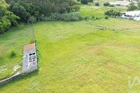 Terra a Santarem, Santarem, Santarem - € 29.000 | Ref: 870942 - foto 32