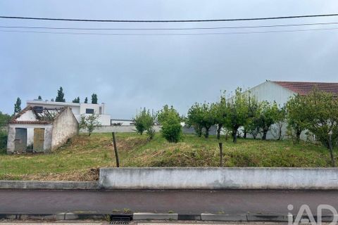 Helårsgrund i Cadaval, Lisbon, Cadaval - € 95.000 | Ref: 874141 - foto 3