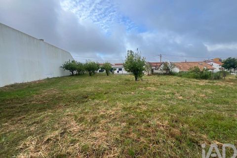 Helårsgrund i Cadaval, Lisbon, Cadaval - € 95.000 | Ref: 874141 - foto 10
