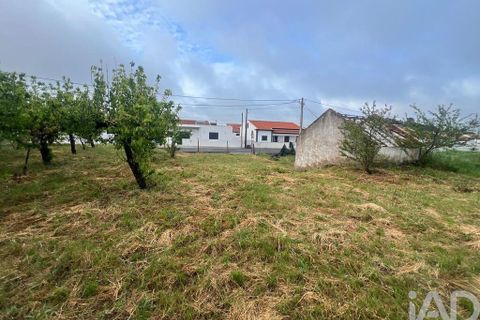Helårsgrund i Cadaval, Lisbon, Cadaval - € 95.000 | Ref: 874141 - foto 16