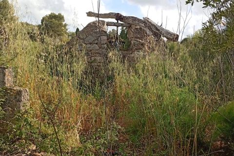 Terreno en Capdepera, Mallorca, Capdepera - € 45.000 | Ref: 5814W - photo 7