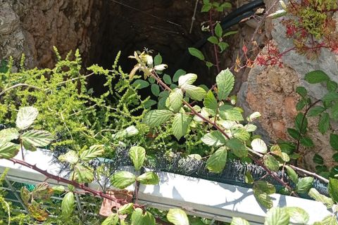 Terreno en Capdepera, Mallorca, Capdepera - € 45.000 | Ref: 5814W - photo 8