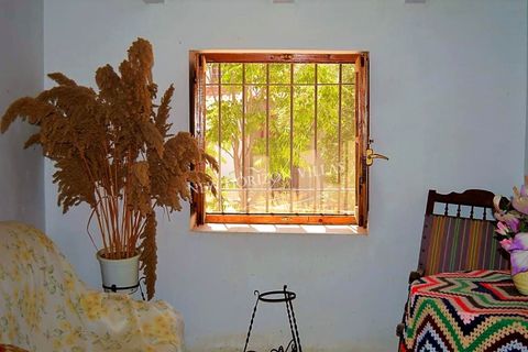 Villa i Cantoria, Almeria, Cantoria - € 89.900 | Ref: 29959 - foto 10