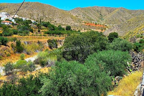Villa i Cantoria, Almeria, Cantoria - € 89.900 | Ref: 29959 - foto 27