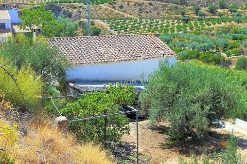 Villa i Cantoria, Almeria, Cantoria - € 89.900 | Ref: 29959 - foto 31