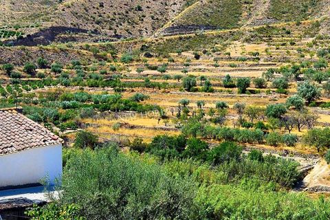Villa i Cantoria, Almeria, Cantoria - € 89.900 | Ref: 29959 - foto 32